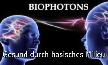 Das Geheimnis aller Krankheiten