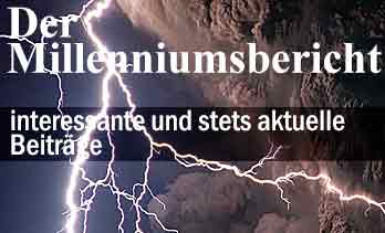 Der Milleniumsbericht