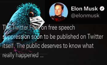 Twitter Files: schockierenden Enthüllungen Twitter Files