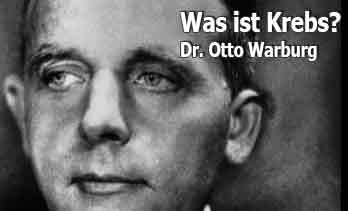 Was ist Krebs? Warburg